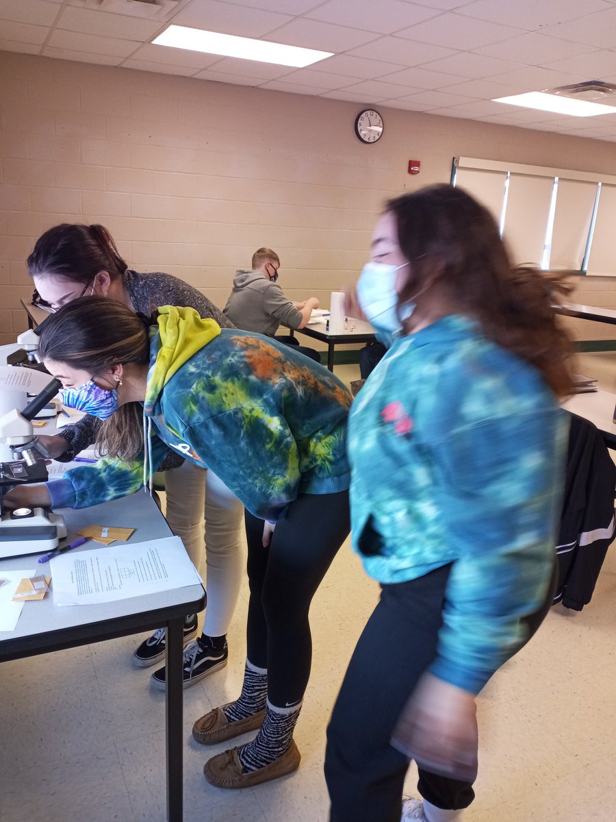 JusticeAcademy1's tweet photo. Justice Academy students working on a forensics lab. https://t.co/jQuIGqF8Zg