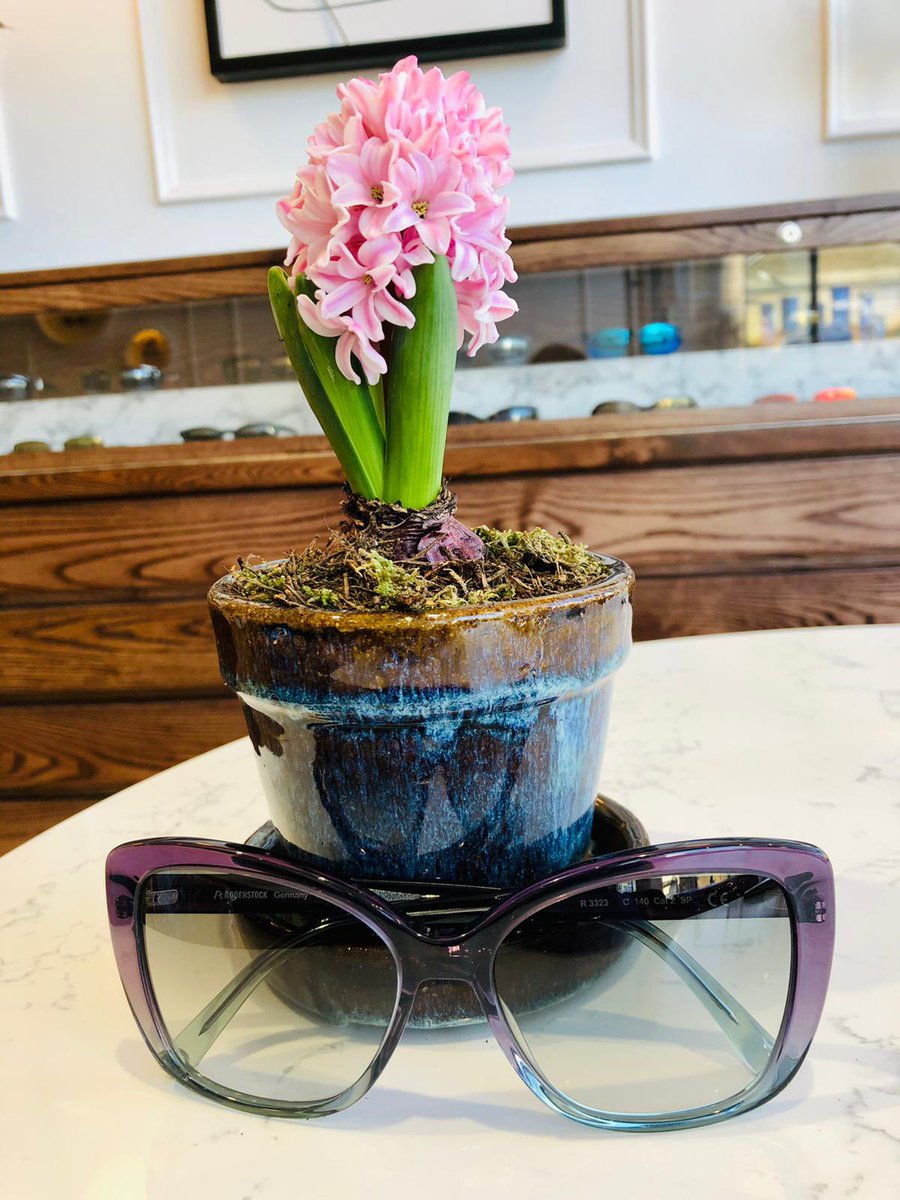 Taank Optometrists tweet media