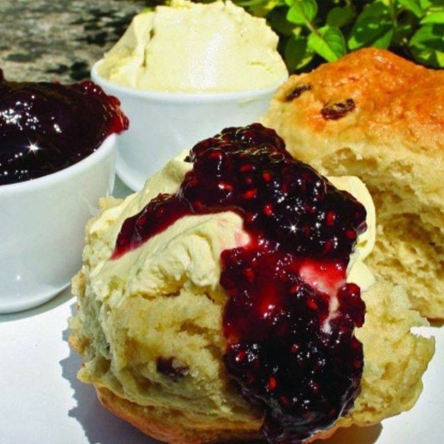 andrewshayesA35's tweet image. Devon isn&apos;t just cows and fields!
@devontouraward #visitdevon #greatdevondays #visitdevon_biz