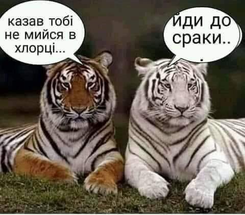 volchatnik's tweet image. Минутка украинского юмора на Волчатнике