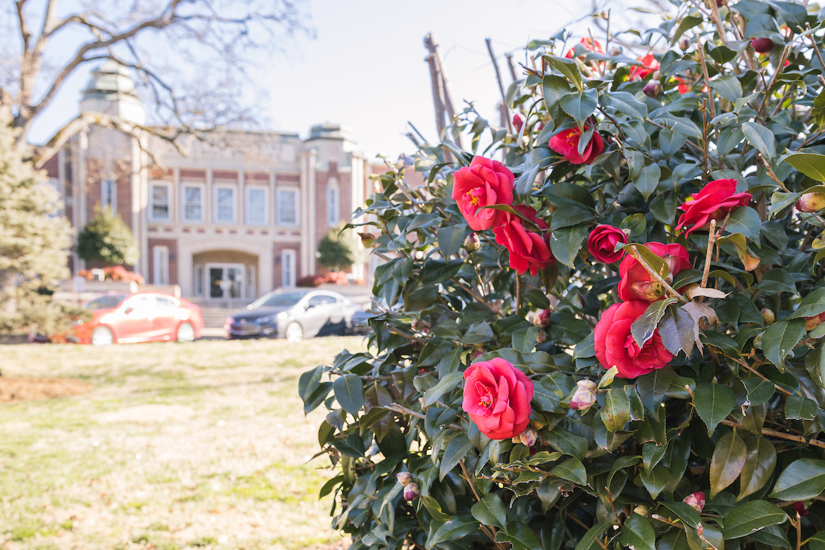 lenoirrhyne's tweet photo. Can you feel it? Spring is just around the corner πΌ #LRViews https://t.co/LjMM3wyw0K