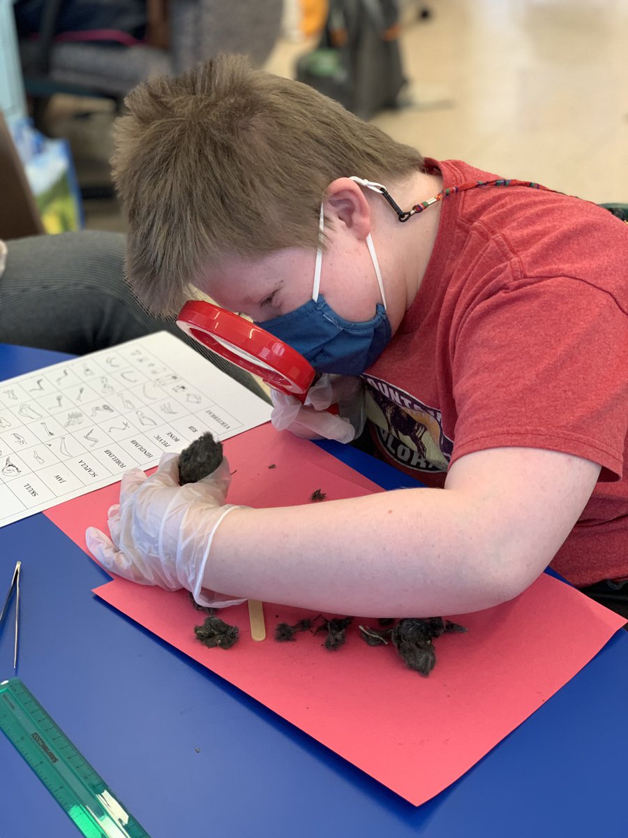 Miss_Capolongo tweet media