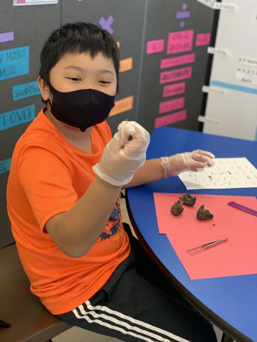 Miss_Capolongo tweet media