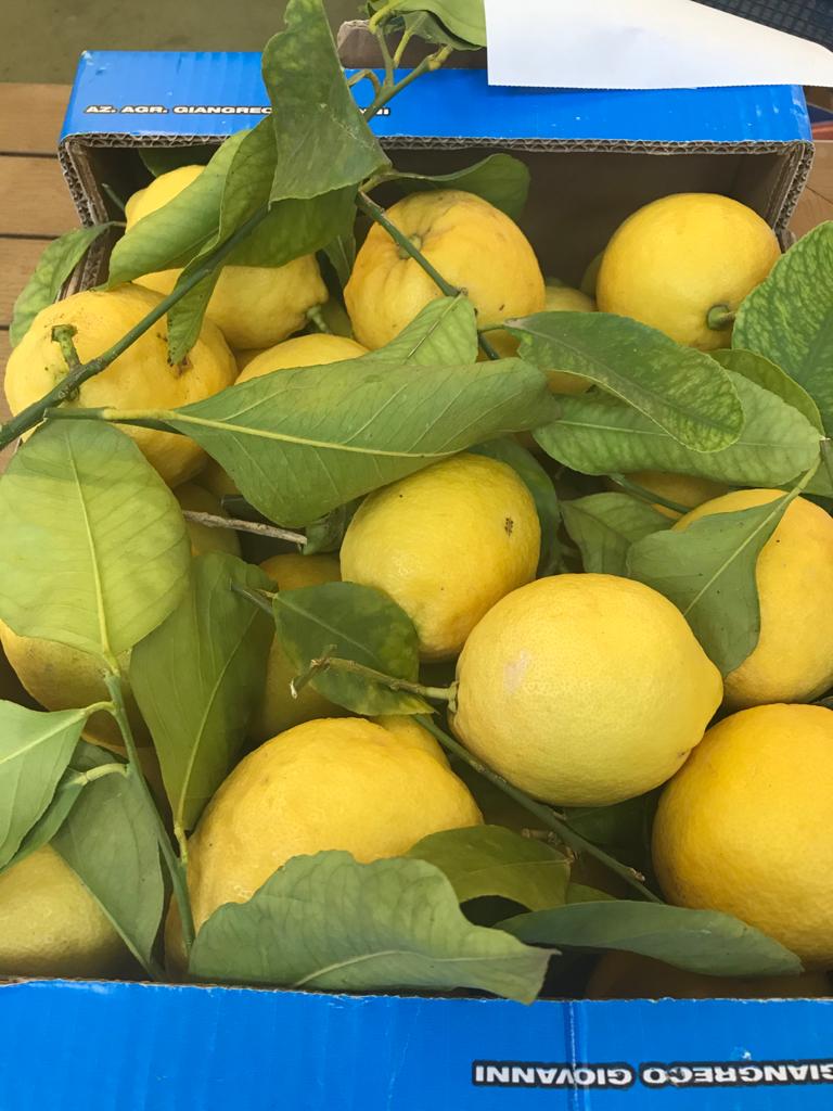 Knutsford Market Hall tweet media