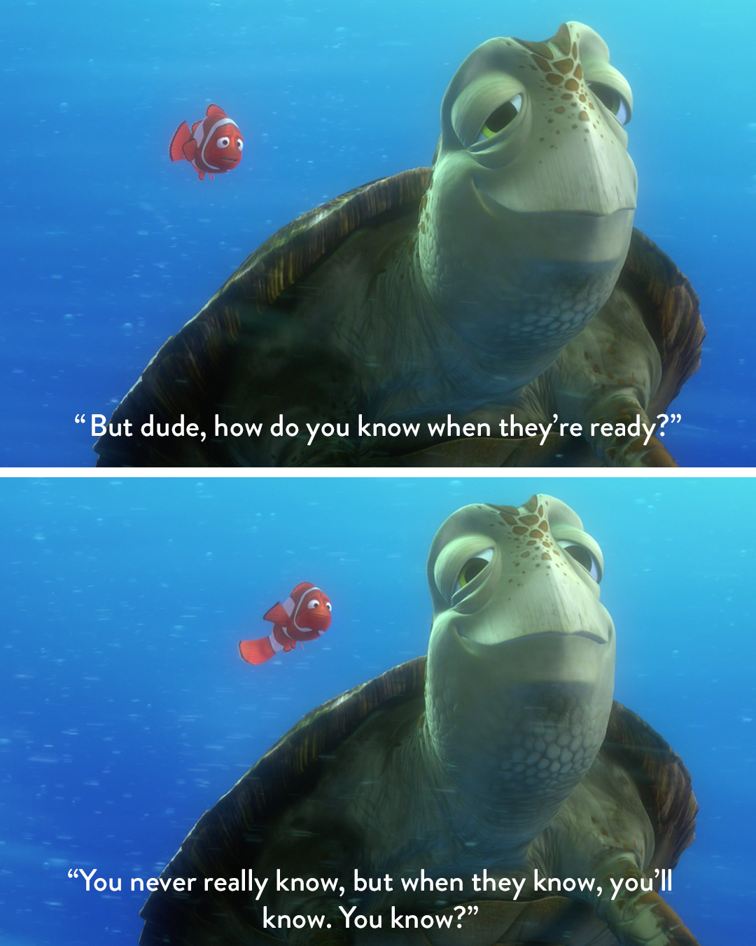 Crush The Turtle Quotes Twitter 上的Pixar："Deep Thoughts From The Deep Blue. What Is Your Favorite  Moment From Finding Nemo? Let Us Know In The Comments!  Https://T.co/Rq5S5Vrajn" / Twitter