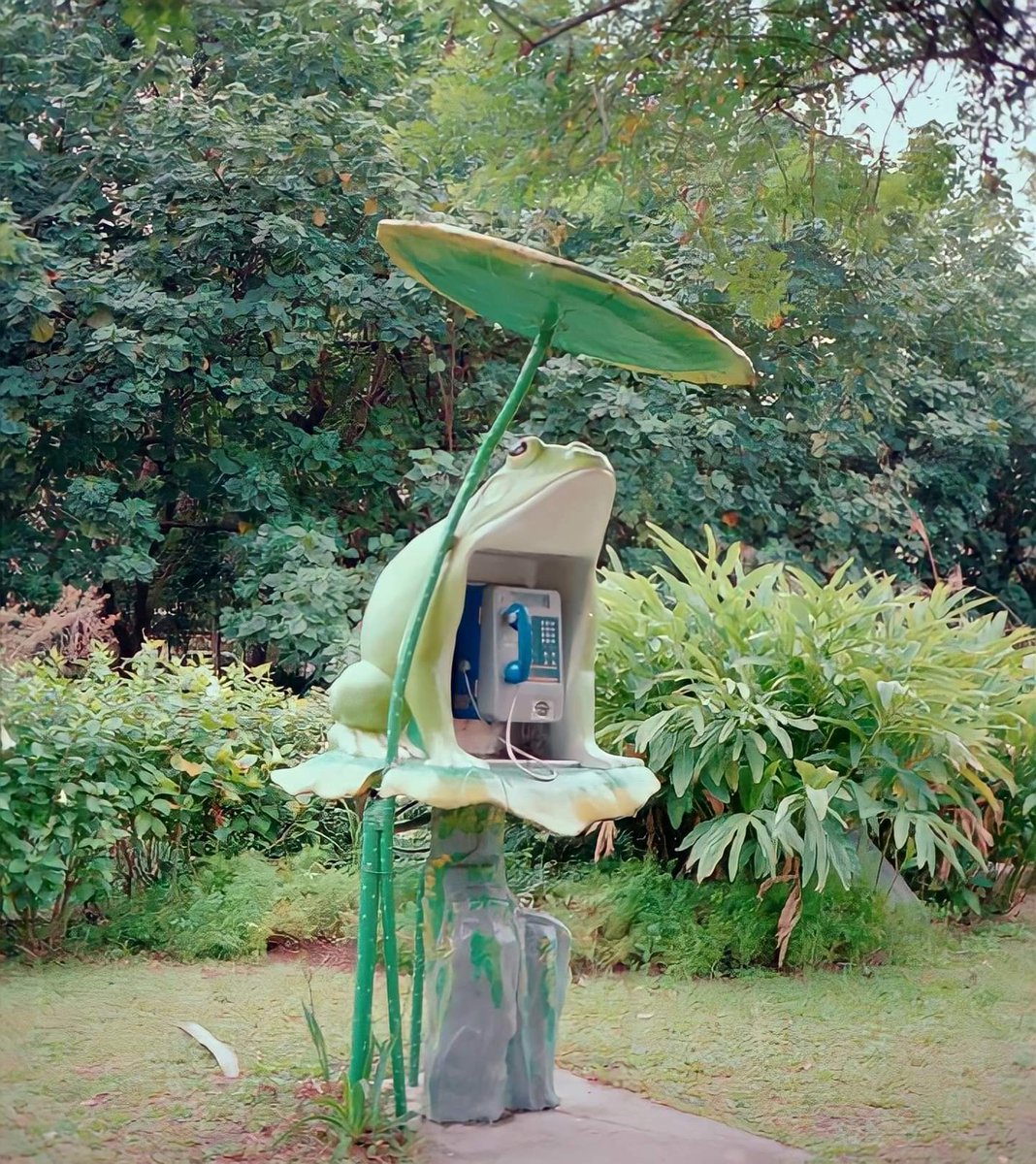 MushyStuff__'s tweet image. You're walking alone and it starts to ring. Do you pick it up?🐸