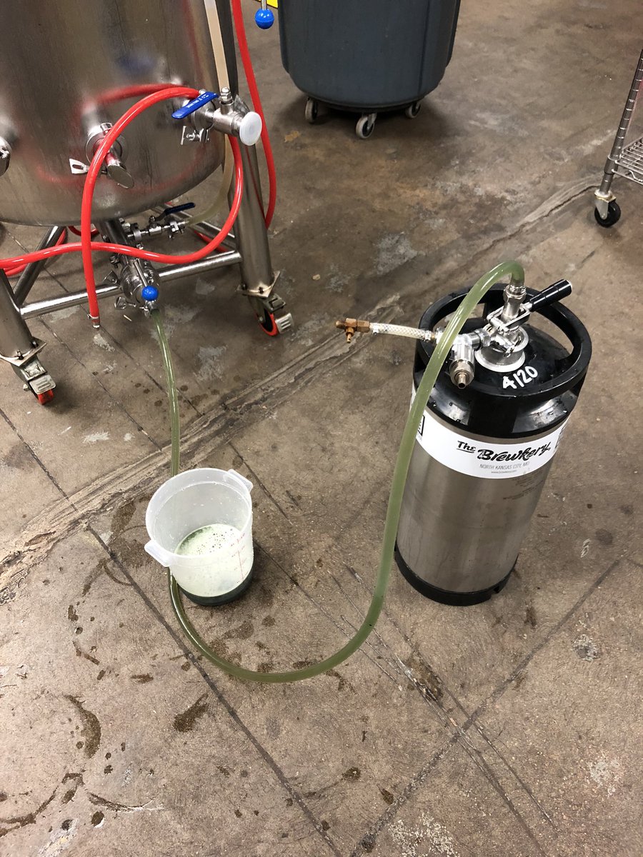 You can tell it’s almost Snake Saturday and St Patty’s Day around here.