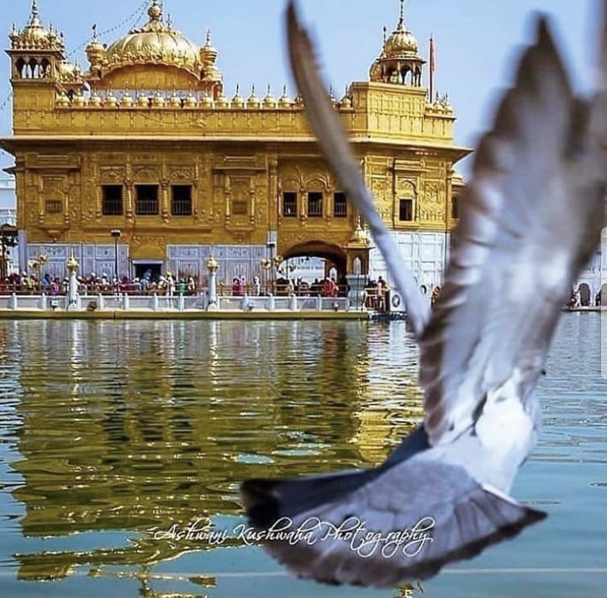 GillJudgebir's tweet photo. ਜਿਆਦਾ ਕੁਝ ਨਹੀ ਚਾਹੀਦਾ 
ਬਸ ਤੇਰਾ ਹੱਥ ਸਿ�� ਤੇ ਹਮੇਸ਼ਾ ਰਹੇ ❣️ ਵਾਹਿਗੁਰੂ https://t.co/B1LHzuSKXx