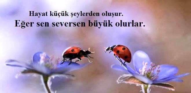 remzi_sati's tweet photo. "Allah'ım, bana verdiğin her şeyin sonunda, senin rızân ve cennetin olsun." 

#mirackandili https://t.co/1kUT809to5