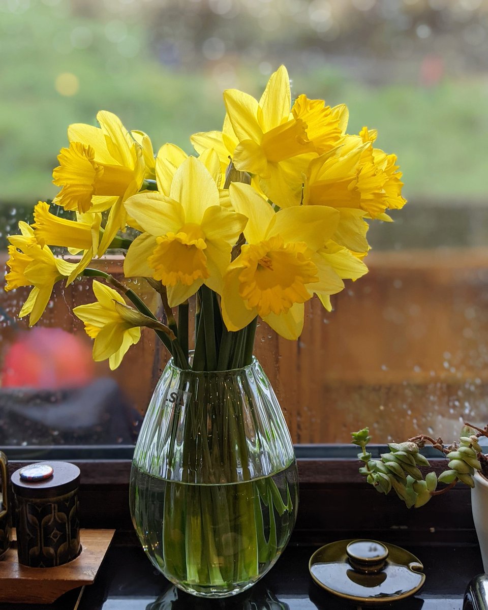 I need some sunny days!! It's so gloomy and wet  here in the #uppercaldervalley.
I've treated myself to some Daffodils to brighten my kitchen up! 🌞🌞🌞