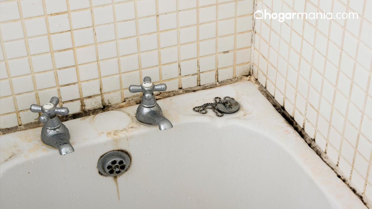 Humexpert's tweet image. La falta de ventilación en los #CuartosDeBaño🛁 hace que el nivel de #Humedad sea demasiado alto💧. Y una de las consecuencias de la humedad es la aparición de #Moho. 

¿Sabes cómo #EliminarElMoho?🧽No te pierdas estos útiles consejos 👉buff.ly/3rC6oz0 #EmpresaDeHumedades