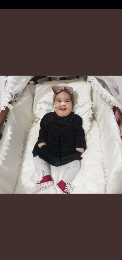 sidar0zgul's tweet photo. Atacağımız bir tweet miniğin hayatını değiştirebilir
Destek ol !
#ElifEvaÖlmesin https://t.co/FXmz0MWreA