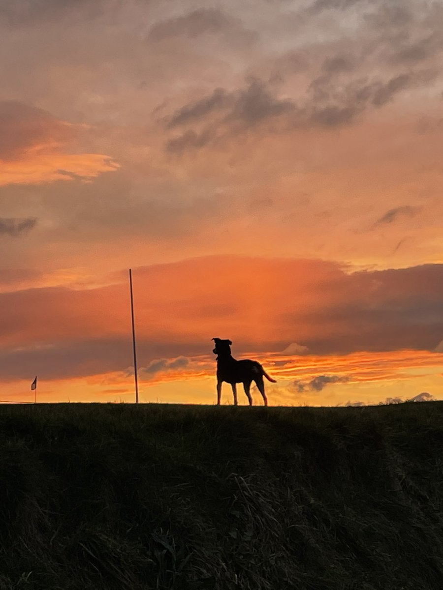 One of the best sunset spots in the world .. hands down!
#nofilterneeded #sunset #dogsofinstagram #landscape #sea #beachlife #beautifuldestinations #beautifulcornwall #travel #wonderlust #instatravel #lovecornwall #lifestyleblogger #cornwall #coast #fistralbeach #newquaylife#surf
