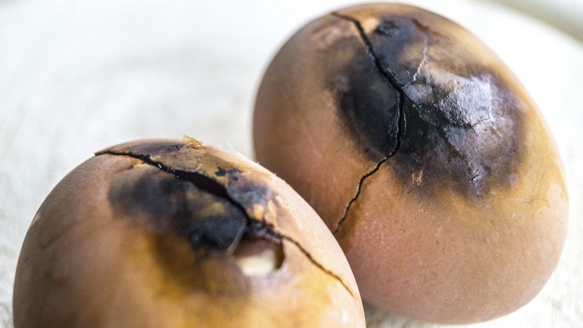 nutrition_facts's tweet photo. One way a diet rich in animal-sourced foods like meat, eggs, and cheese may contribute to heart disease, stroke, kidney failure, and death is through the production of toxin called TMAO. https://t.co/OuIeFzXQBt https://t.co/6WXA3PeaQZ