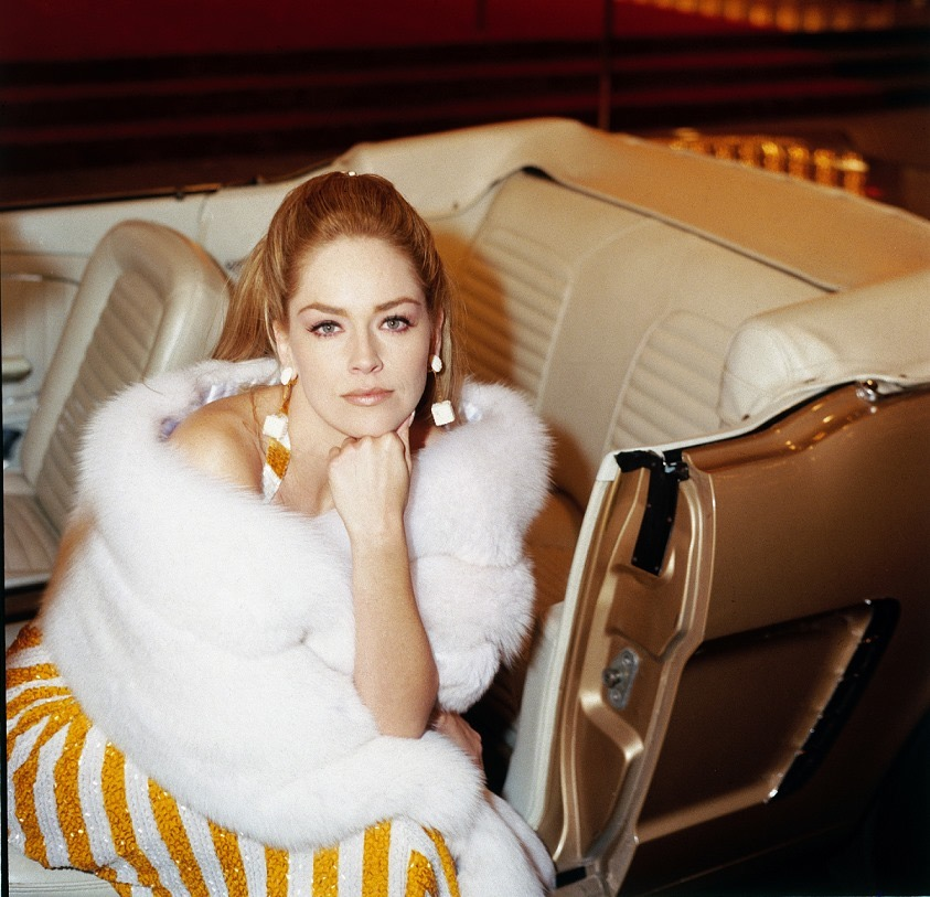 Happy birthday Sharon Stone 