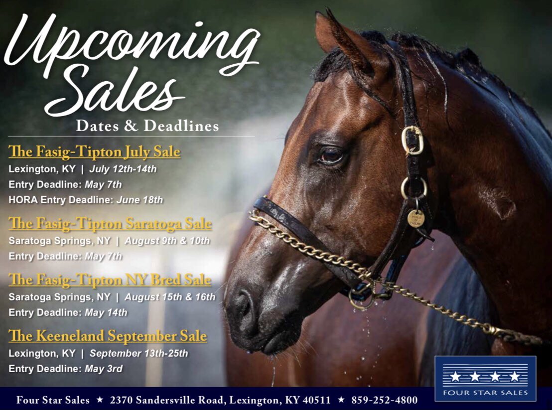 FourStarSales's tweet photo. Summer sales ☀️ will be here before we know it ⏰! Our team is busy inspecting yearlings for the upcoming sales. Give us a call ☎️ to set up an inspection or consultation! 

📸: @amylanigan1 https://t.co/hjlHH0zxzg