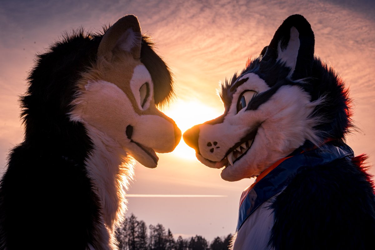 SpaceWuffy (@spacewuffy) on Twitter photo Today is my first #WaggeryWednesday and here are some pics from the weekend where i suited the first time.
A big thanks to <a href="/WildAcai/">Wiggly Ear Power!</a> and his team at <a href="/WaggeryCos/">Waggery Costumes</a> you made my dream come to lifeโค๏ธ.
Suiter in 2. pic: Nagu, Me, <a href="/Tawiwolf/">Tawi</a>
๐ธ <a href="/fur_nerox/">Nerox</a> & <a href="/FurJorden/">Jorden</a>
๐ <a href="/WaggeryCos/">Waggery Costumes</a> Today is my first #WaggeryWednesday and here are some pics from the weekend where i suited the first time.
A big thanks to <a href="/WildAcai/">Wiggly Ear Power!</a> and his team at <a href="/WaggeryCos/">Waggery Costumes</a> you made my dream come to lifeโค๏ธ.
Suiter in 2. pic: Nagu, Me, <a href="/Tawiwolf/">Tawi</a>
๐ธ <a href="/fur_nerox/">Nerox</a> & <a href="/FurJorden/">Jorden</a>
๐ <a href="/WaggeryCos/">Waggery Costumes</a>