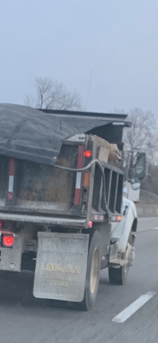 stljimray tweet media