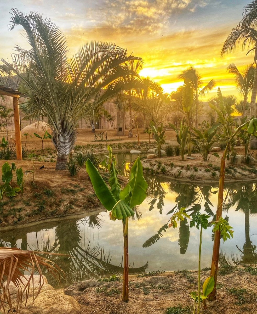 Step into another world.
⠀⠀⠀⠀⠀⠀⠀⠀⠀
Situated in the middle of five ecosystems in the beautiful town of Todos Santos, Paradero is a travel experience like you've never had. Book your stay today, Summer dates are now available.
⠀⠀⠀⠀⠀⠀⠀⠀⠀
📸: iwillgotravel (IG)