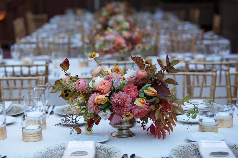 Despina Craig Events tweet media