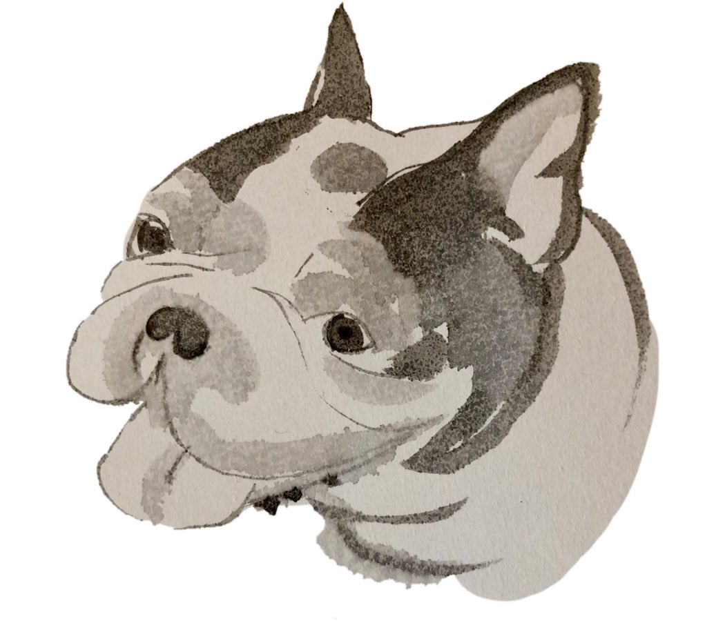 ট ইট র Buntathefrenchie 水墨画風 ふれぶる フレンチブルドッグ 犬 わんこ 水墨画 墨絵 イラスト Frenchbulldog Frenchbullie