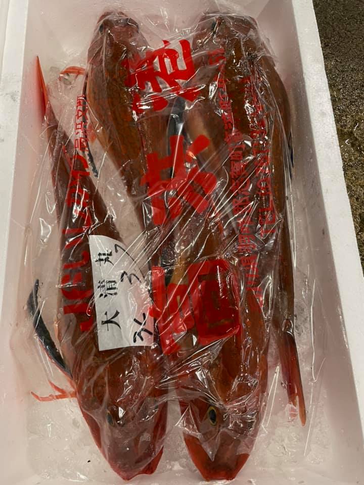 ホウボウの名前の由来は鳴き声にあった 魚って鳴くの わが子に教わる おやこ の関係