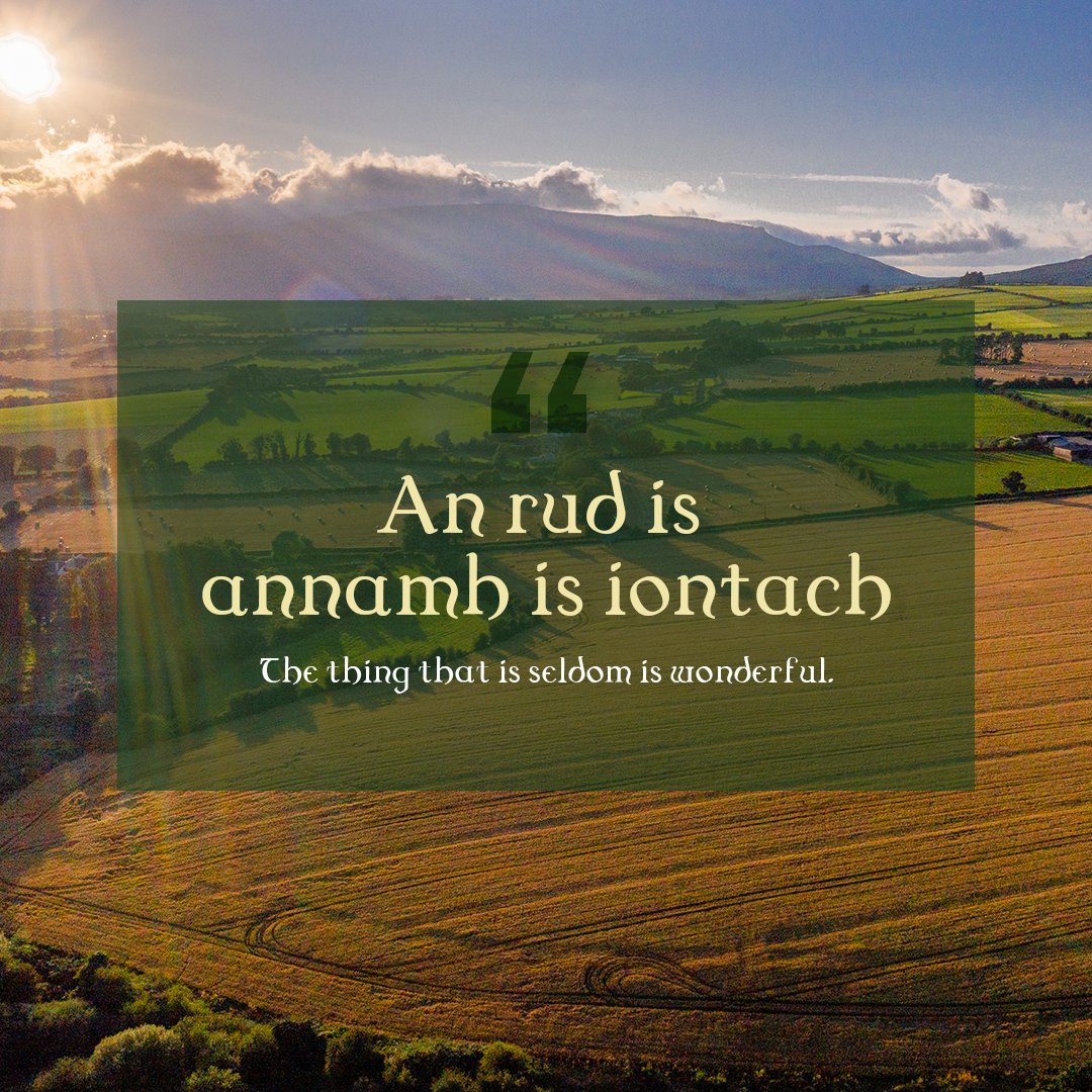 “An rud is annamh is iontach” which means, “The thing that is seldom is wonderful.” Much like Ireland’s landscape, this beautiful Irish proverb tells us that the rare things in life are best. 🇮🇪❤️

#StPaddysDay #IrishPride