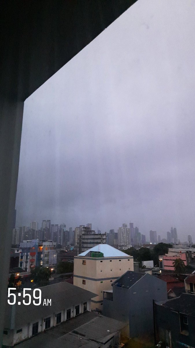 _oeli's tweet image. 