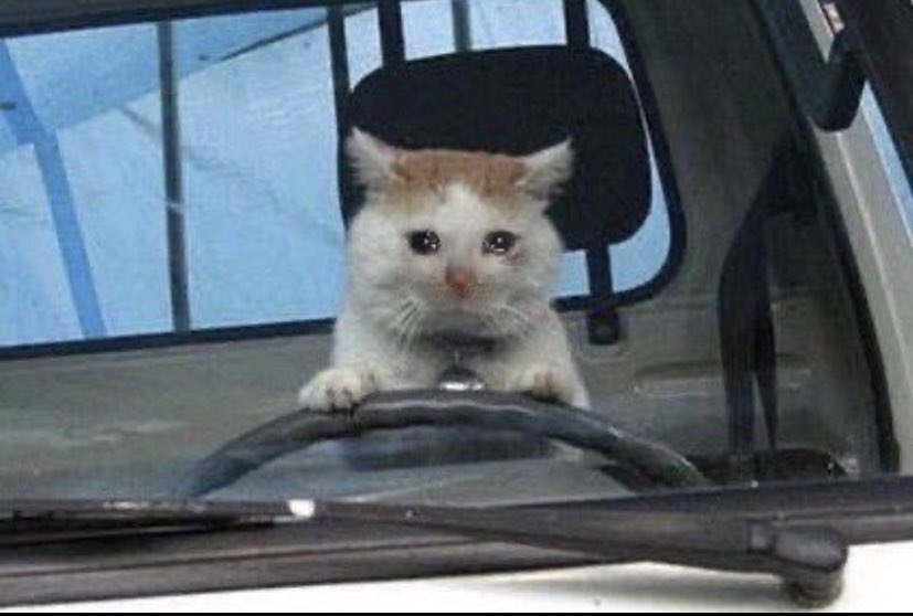 imlauranus's tweet image. moi au volant de ma vie