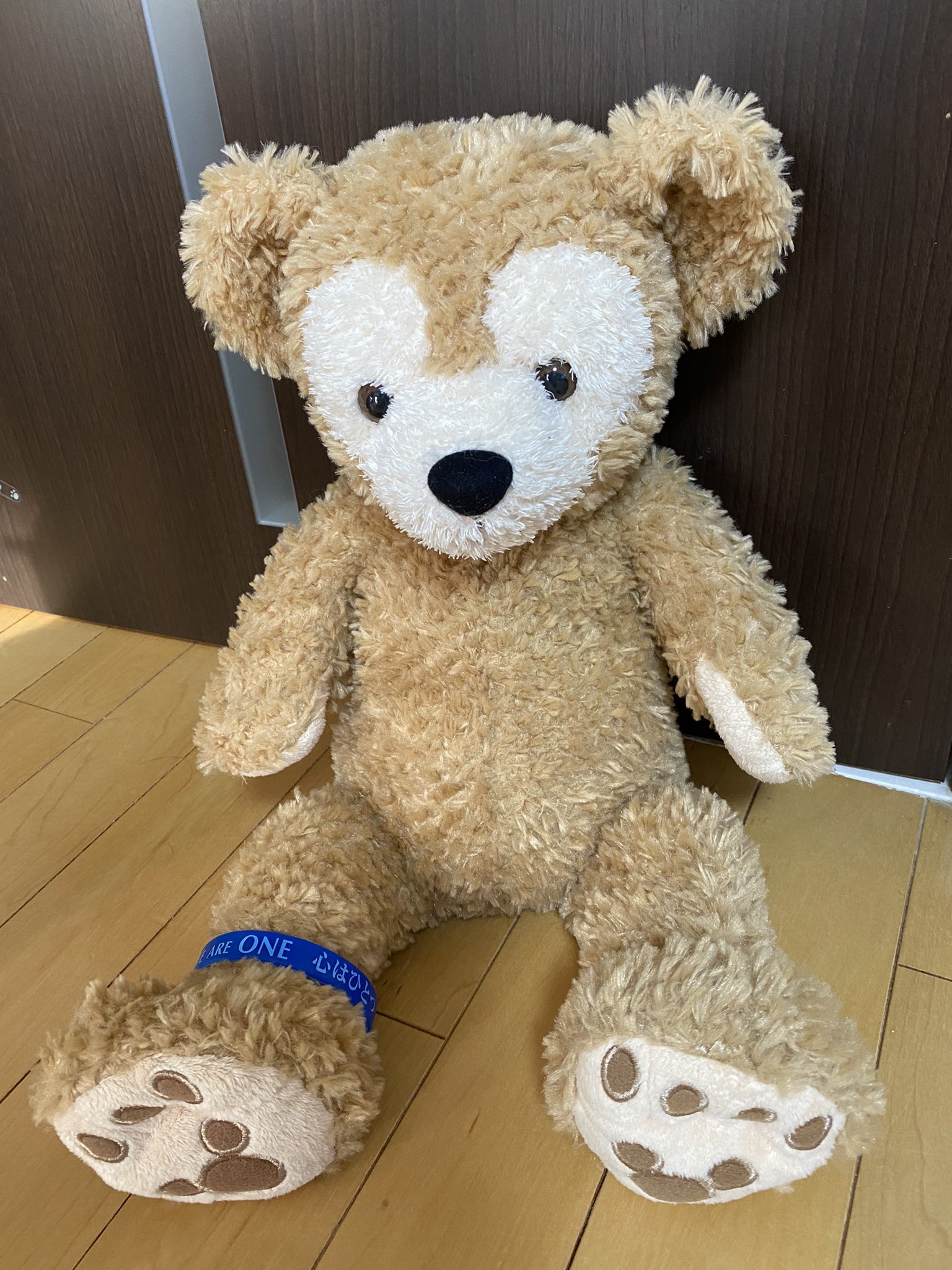 麦穂猫 Cats Disney On Twitter 3 11 今までも これからも We Are One 心はひとつ 東日本大震災 東日本大地震 東京ディズニーリゾートチャリティーリストバンド ダッフィー Https T Co K0nzviv4cy Twitter