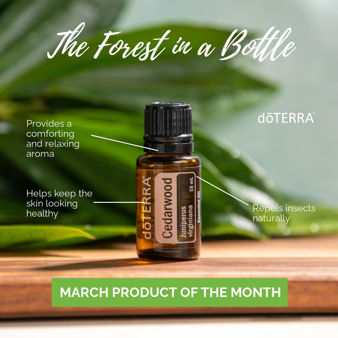 KathyRussellRD's tweet photo. The woods are calling you! Get a free 15 mL Cedarwood essential oil when you place a 125 PV order before March 15th. https://t.co/KsdICsKbvF