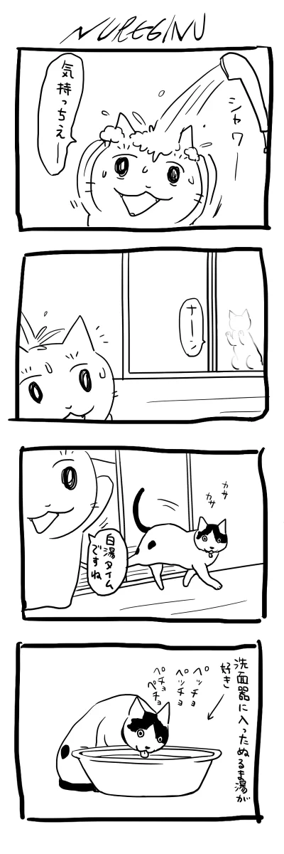 理不尽すぎるwww何もしていないのに、水を掛けられたと訴える猫！www