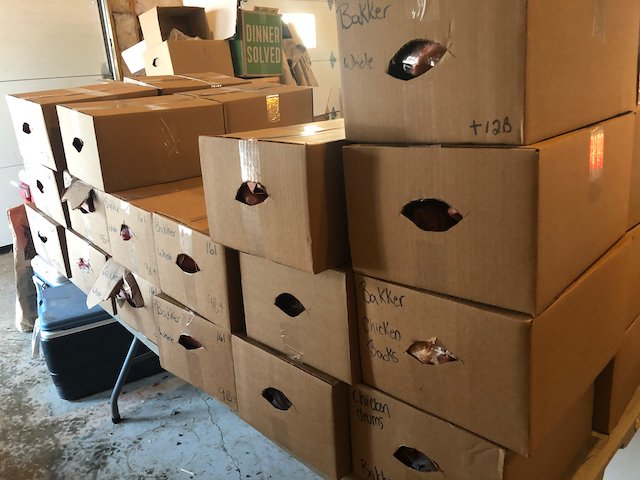 If you ever wondered what one beef and 50 chickens looked like boxed up, here you go. Once we pick up the beef, from the butcher, we sort, weigh and count the number of pieces to update the store. In other news, beef is back in stock! - mailchi.mp/cc451a387ba3/f…
