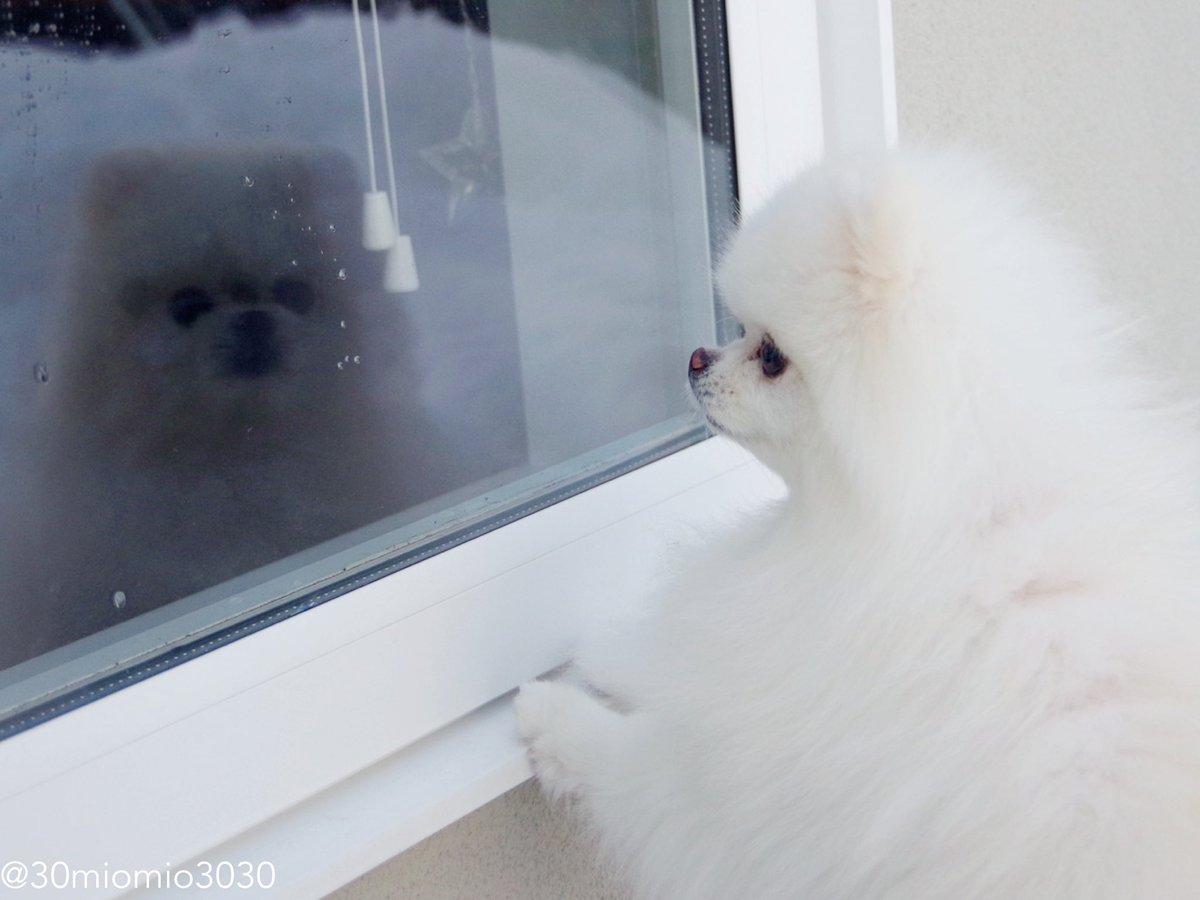 miomio3030 (@30miomio3030) / Posts / X