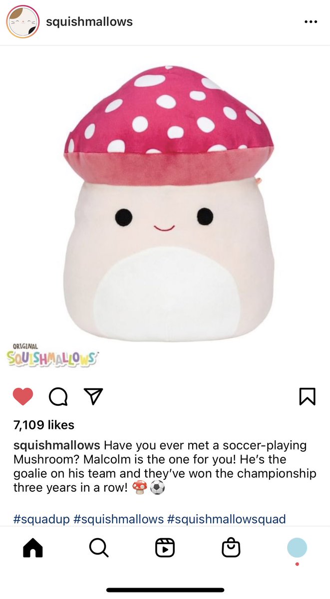 draculotl's tweet photo. i want this so bad https://t.co/cWTe39EGex