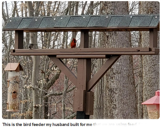 There is technically nothing bad about this. I'm just grumpy that someone in my neighborhood has a better Tiny Feathered Overlord Tribute Tower than I do.