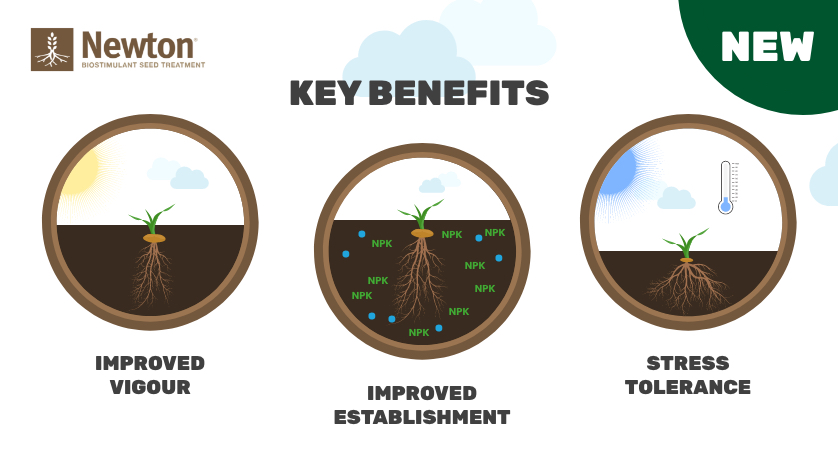 NichinoUK's tweet image. How does biostimulant seed treatment Newton measure up❓
Find out about the research by @UniofNottingham showing significant germination and establishment benefits from treating wheat &amp;amp; barley seed🌱 bit.ly/3r8cjfd
#pushingperformance #clubhectare