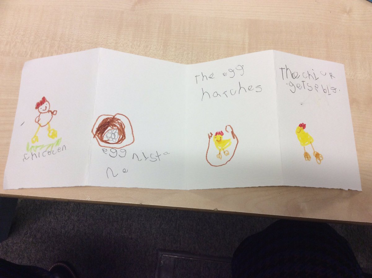 SVPEYFS's tweet photo. We have lovely Montessori life cycle models available to the children. Today we explored the life cycle of a chicken. After lots of discussion the activity led into observational drawing and book making. #eyfs #montessori #lifecycles #continualprovision #provocationsforlearning https://t.co/XtXuka5IIO