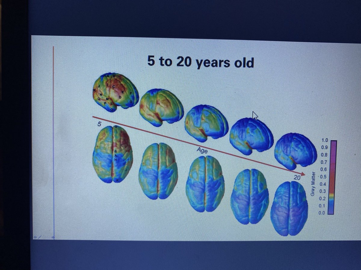 Brader’s Enrichment project group met with a Neuroscientist yesterday! She shared with us about her career path and how the brain works. We even took a 3D tour of the brain!! Thank you Madison!! 🐯One Brader Tiger said “Science Rocks!!”
