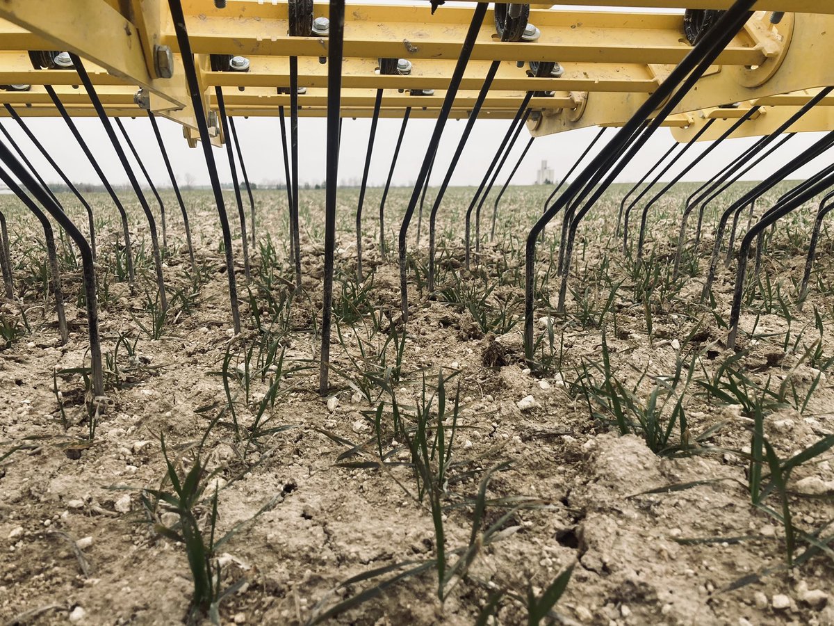 Corentin Mance tweet media