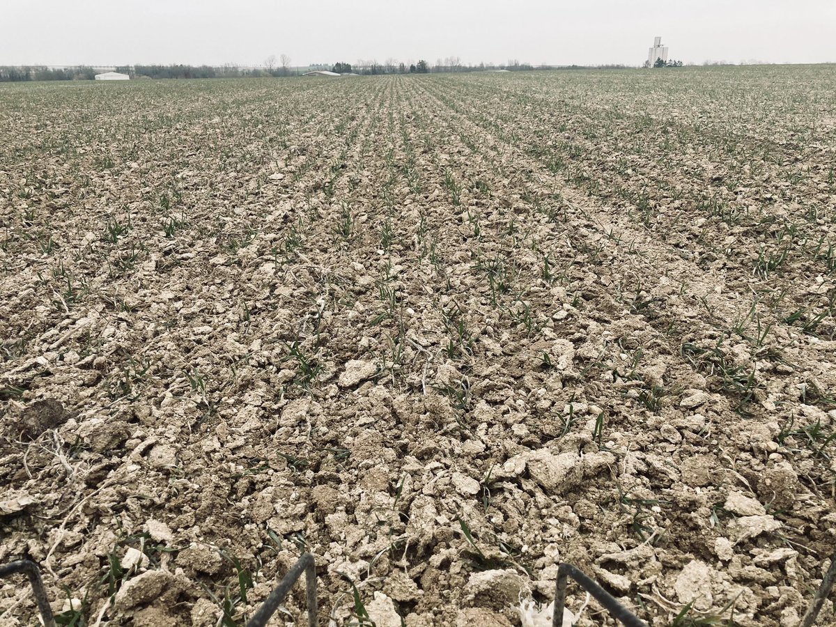 Désherbage blé d’hiver 🌾 
Conditions climatiques idéales 👌
<a href="/Dephy_Ecophyto/">Réseau DEPHY</a> <a href="/Agridemain/">#agridemain</a> <a href="/JeunesAgri51/">Jeunes Agriculteurs Marne</a>