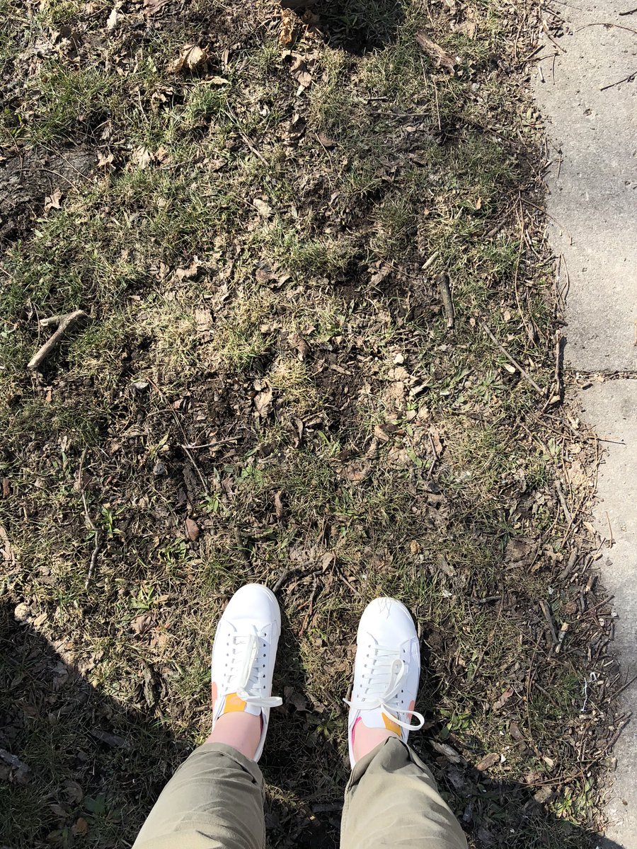 DianaDenneyPR's tweet photo. Enjoyed a sunny walk to class today! #NHsmc https://t.co/A5sc6n2P3o