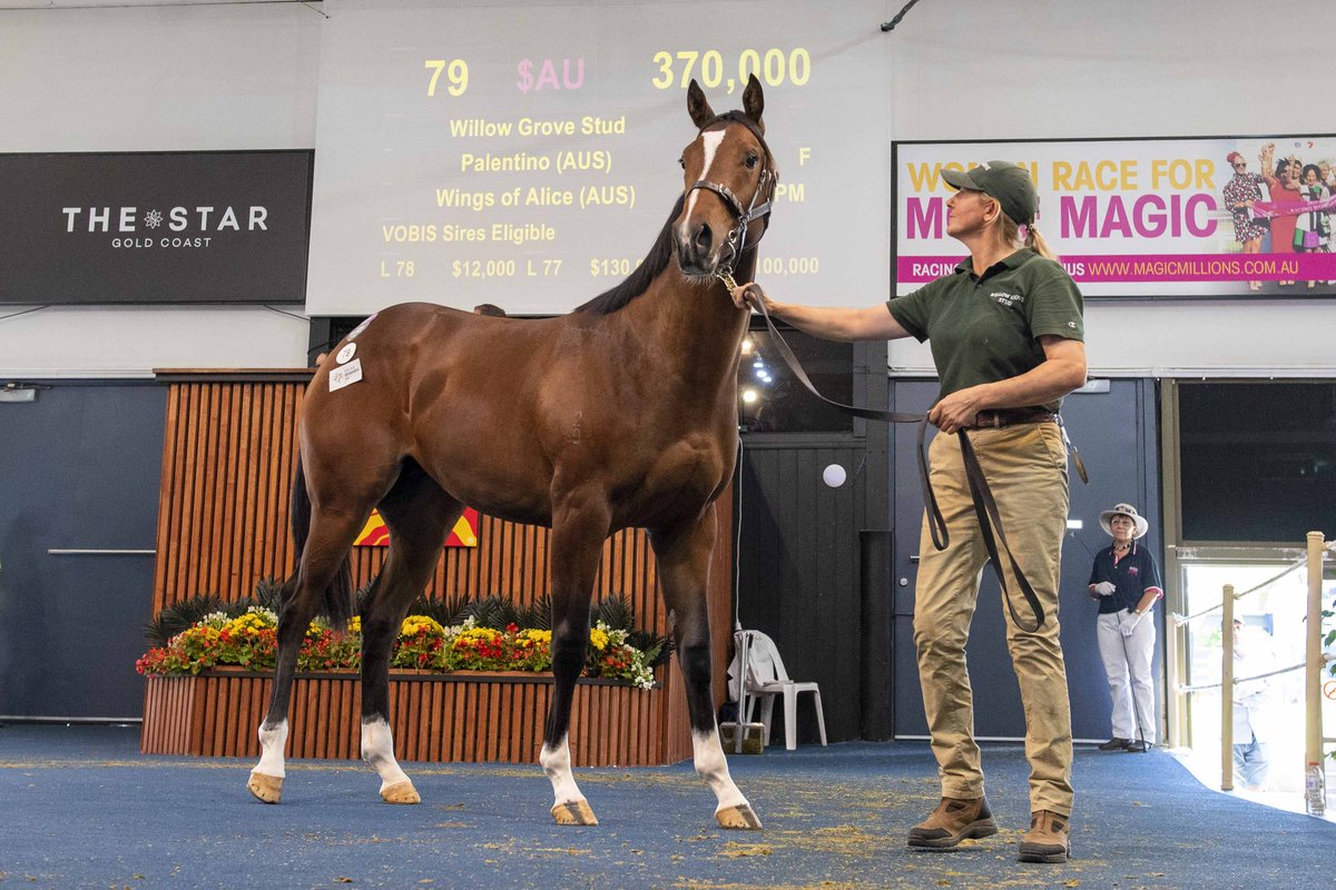 The most profitable stallion at the 2-day Adelaide sale was 
<a href="/vicbreeders/">TBV</a> Sun Stud's Palentino, who had 4 yearlings sell for an aggregate of $457,000 at an average of $114,250 off a service fee of $17,600, recording a profitability rating of 2.7;

racingandsports.com/news/bloodstoc…
