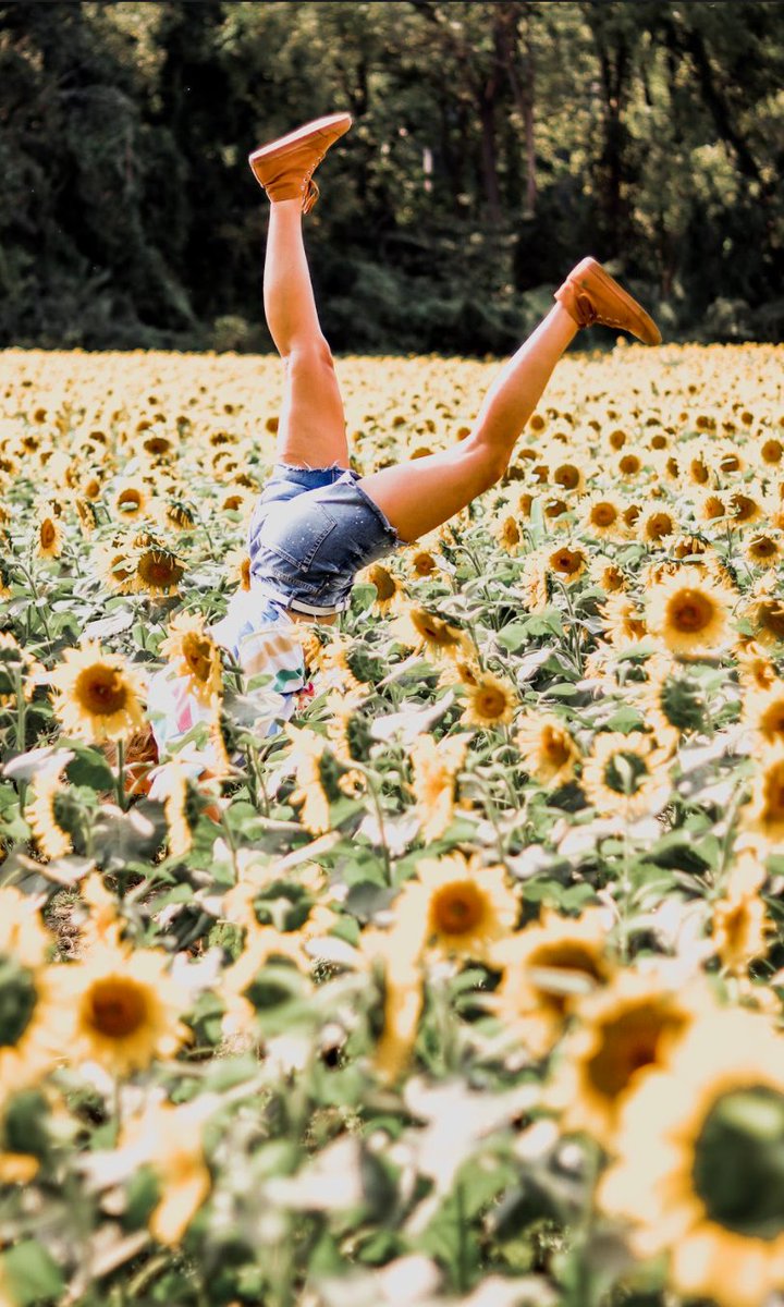 BangsShoes's tweet photo. Put down the phone &amp; do something fun! The sun is shining! Here are some fun everyday adventures you can do!

-Yoga! Try a new flow!
-Take walk around the block!
-Pack a picnic &amp; head to the park!
-Watch the sunset!

Get out there and explore this beautiful world fam!! #liveBANGS https://t.co/yrJRpqv6YW
