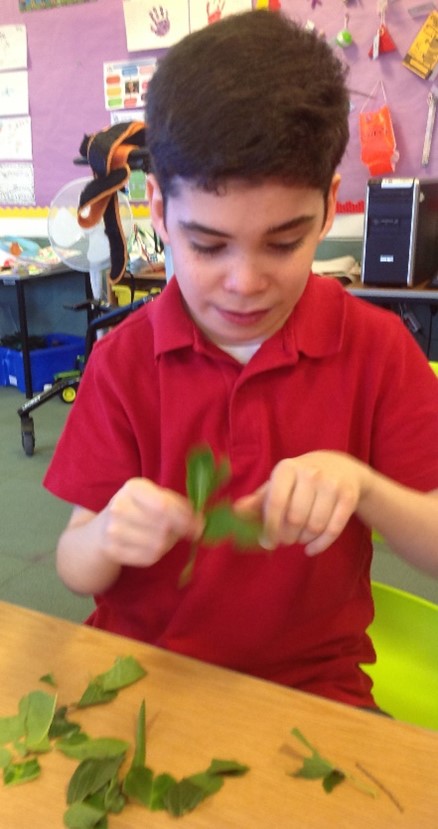 Royal School for the blind Liverpool tweet media