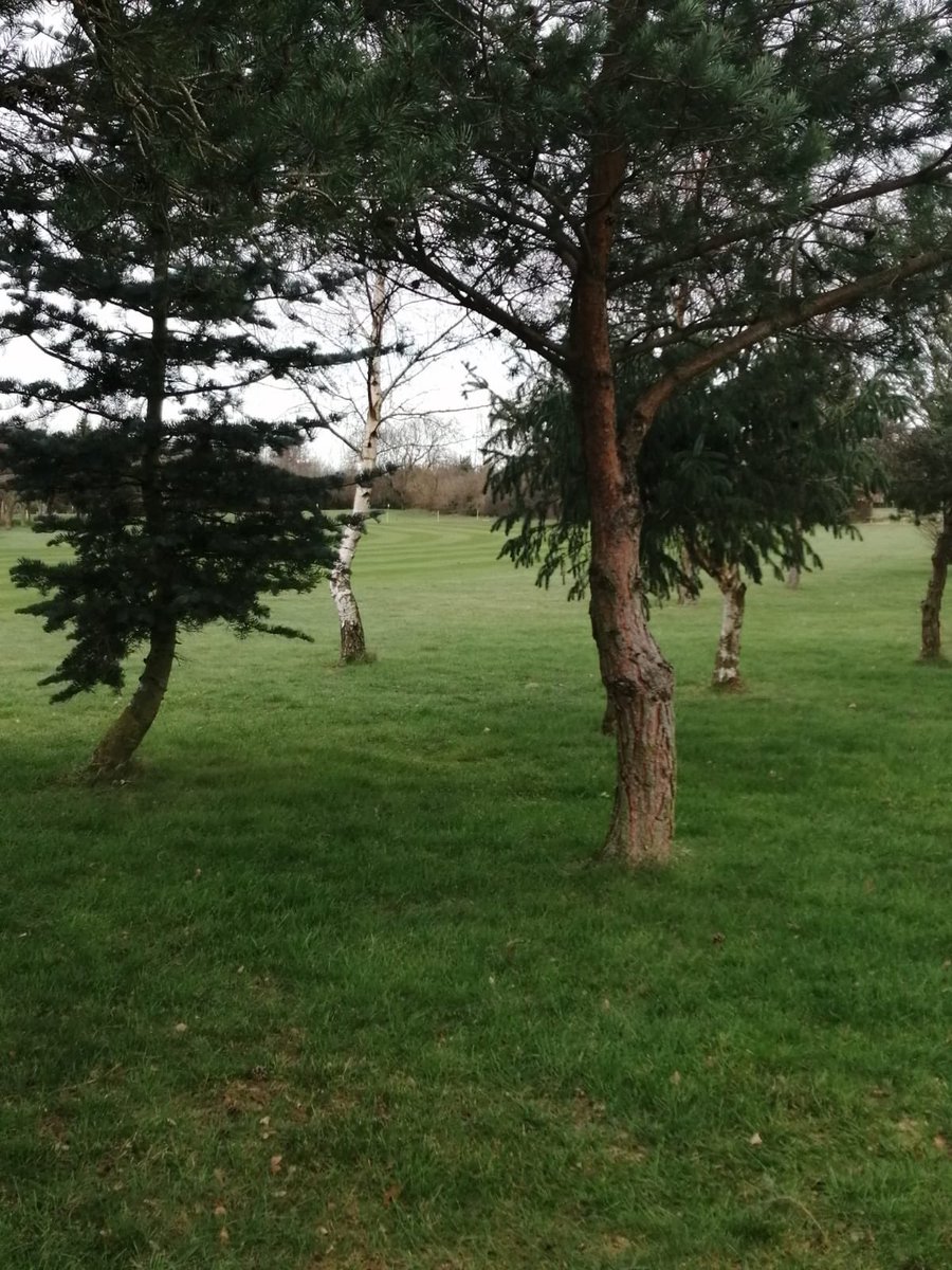LINGOLFCENTRE's tweet photo. Thanks mate, when we first opened in 2002 not a tree in site! On 2001 when we acquired the land it was all literally just barren potato fields!!!!! #diversfication #golfmates #golf #growthegame https://t.co/wnjF9ufWj2