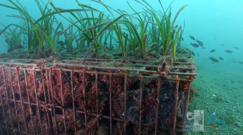 Arnoldas Milukas tweet media