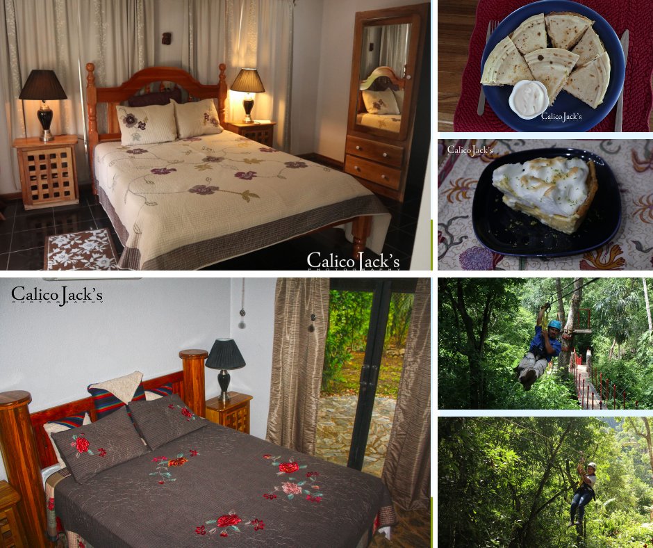CalicoJacksReso's tweet photo. We offer Ziplining, Dry Caves tour, Jungle trails, Jungle swing, nightcrawler, accommodation, restaurant, pool, and free wifi 🤗🤗 https://t.co/utKiN6iHXm