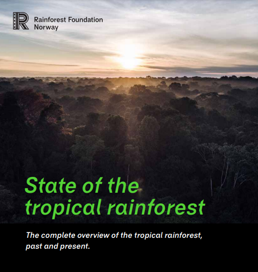 Dos tercios de la selva tropical a nivel mundial ha sido destruido o degradado. La pérdida de bosques también contribuye de manera importante a las emisiones que provocan el calentamiento global. 
Ver investigación aquí-> ambienteysociedad.org.co/dos-tercios-de…