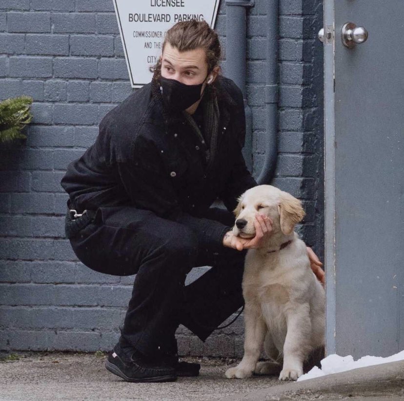louisswiftie's tweet photo. shawn mendes, o maior pai de pet que existe. https://t.co/KPg6myC2o3